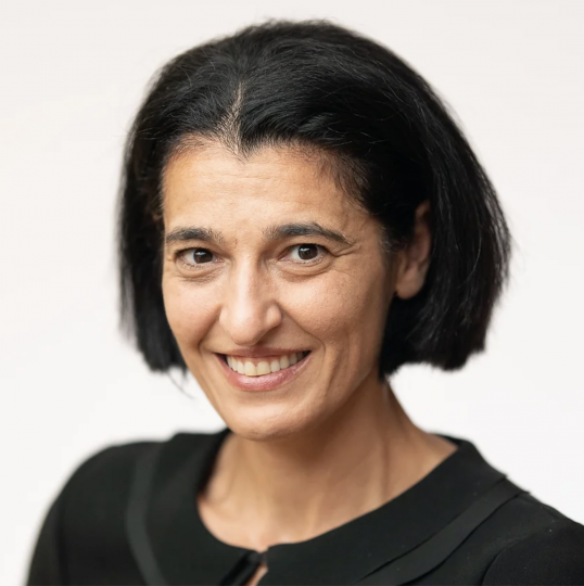 Sepideh Modrek