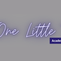 one little thing banner